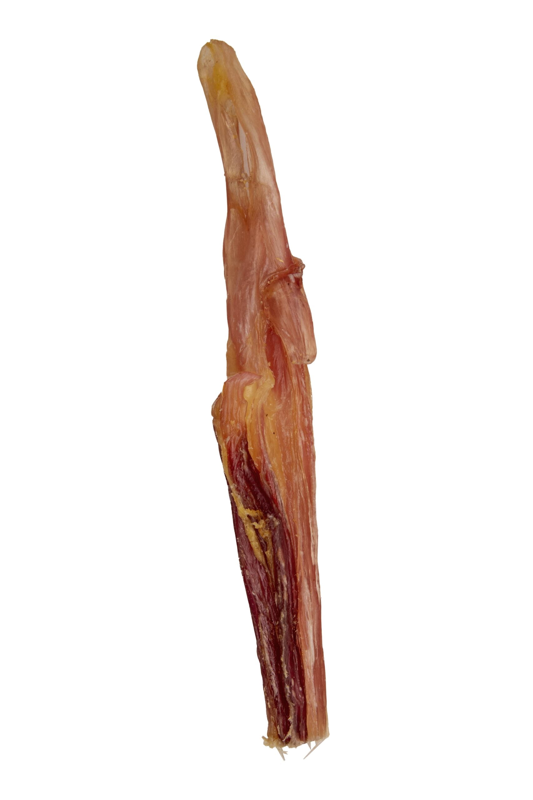 7-9" Beef Tendon 3 7-9" Beef Tendon | Pawsitive Cravings