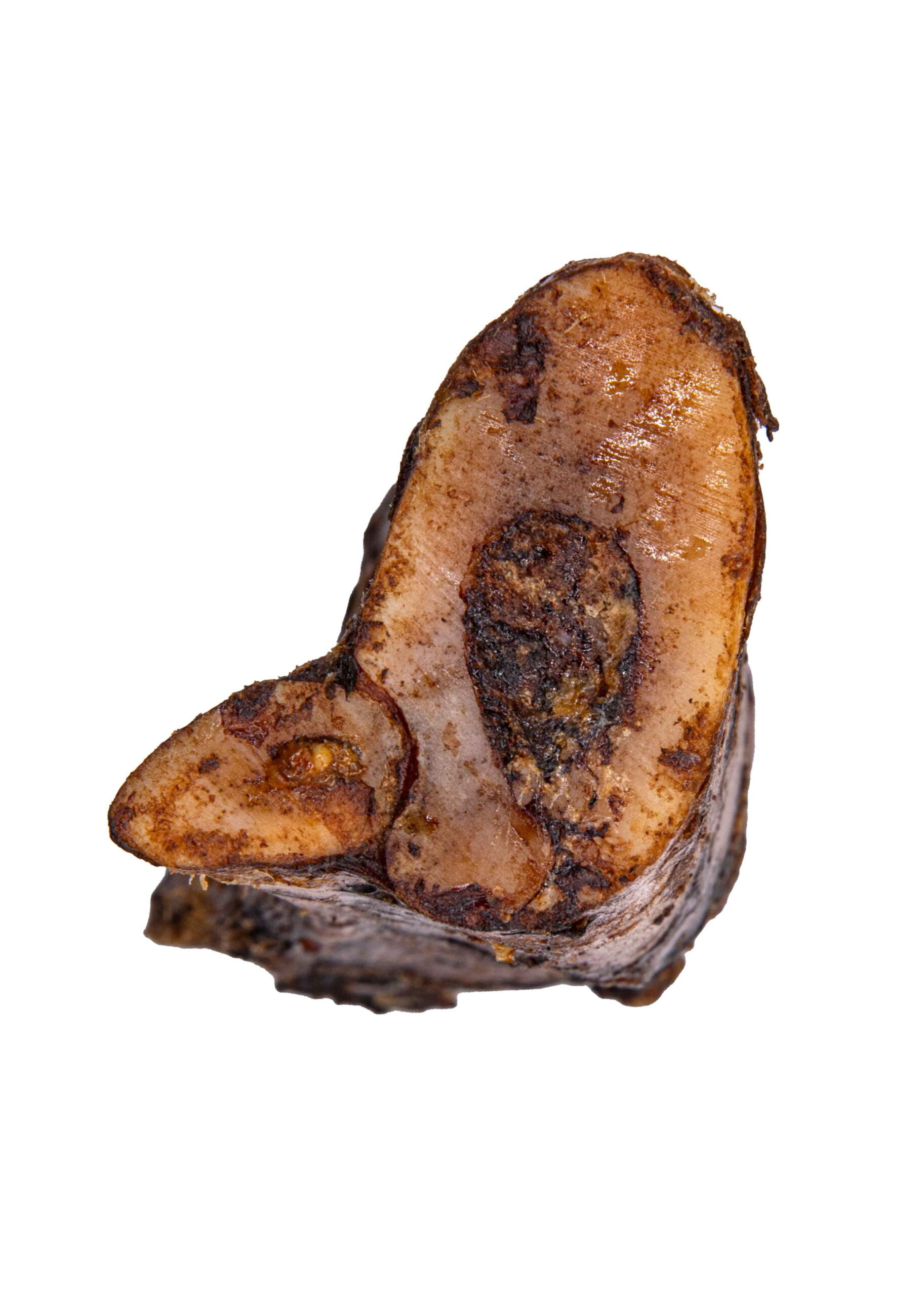 5-6" Beef Marrow Bone 3 5-6" Beef Marrow Bone - Side | Pawsitive Cravings