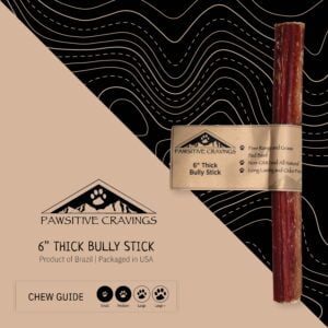 6" Thick Bully Stick Chew Guide | Pawsitive Cravings