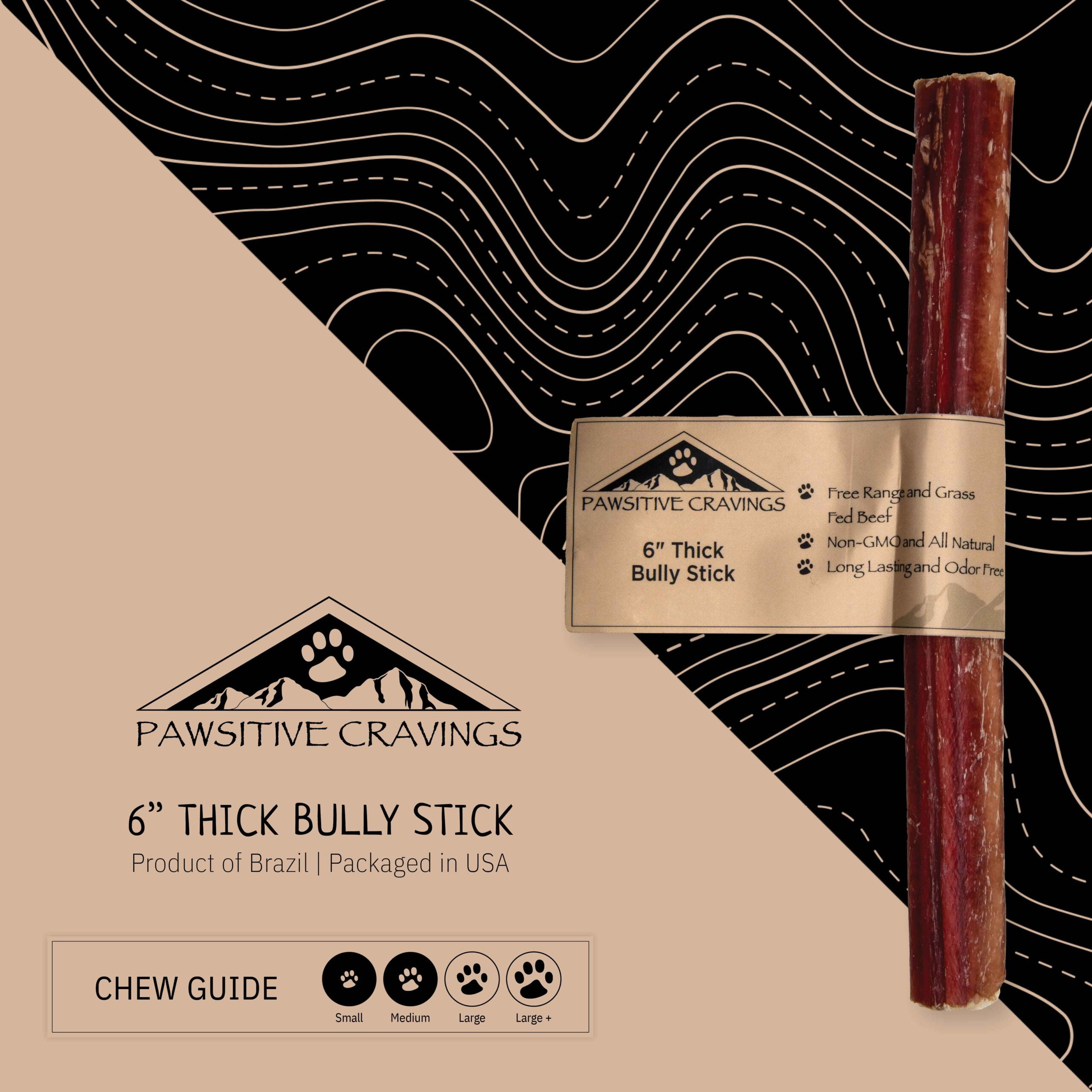 6" Thick Bully Stick 1 6" Thick Bully Stick Chew Guide | Pawsitive Cravings