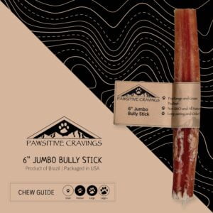 6" Jumbo Bully Stick Chew Guide | Pawsitive Cravings