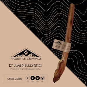 12" Jumbo Bully Stick Chew Guide | Pawsitive Cravings