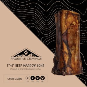 5-6" Beef Marrow Bone Chew Guide | Pawsitive Cravings