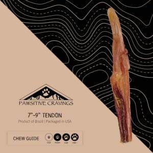 7-9" Beef Tendon Chew Guide | Pawsitive Cravings
