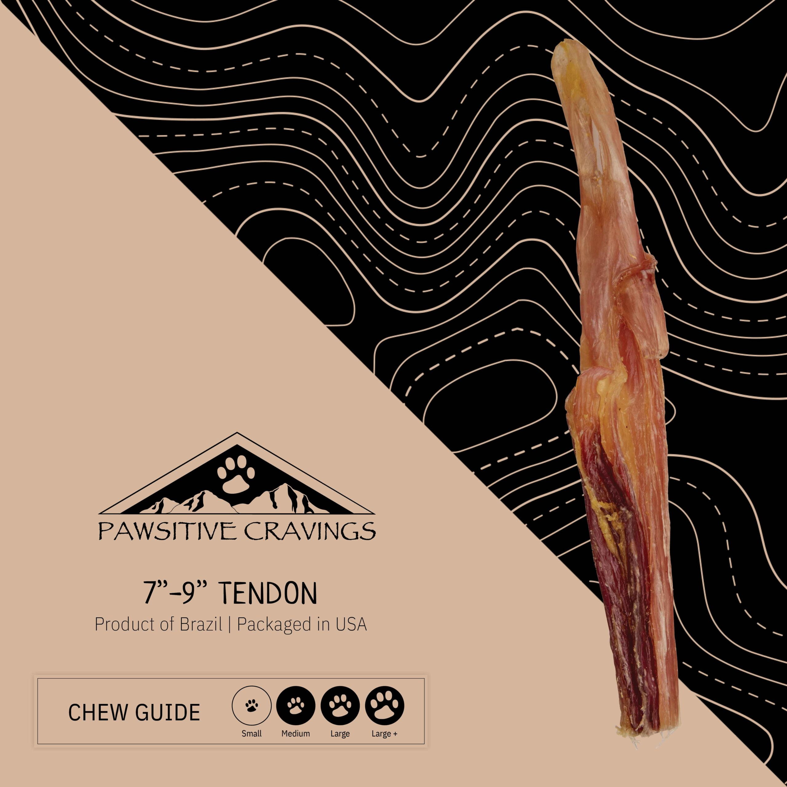 7-9" Beef Tendon 1 7-9" Beef Tendon Chew Guide | Pawsitive Cravings