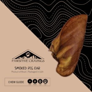 Smoked Pig Ear Chew Guide | Pawsitive Cravings