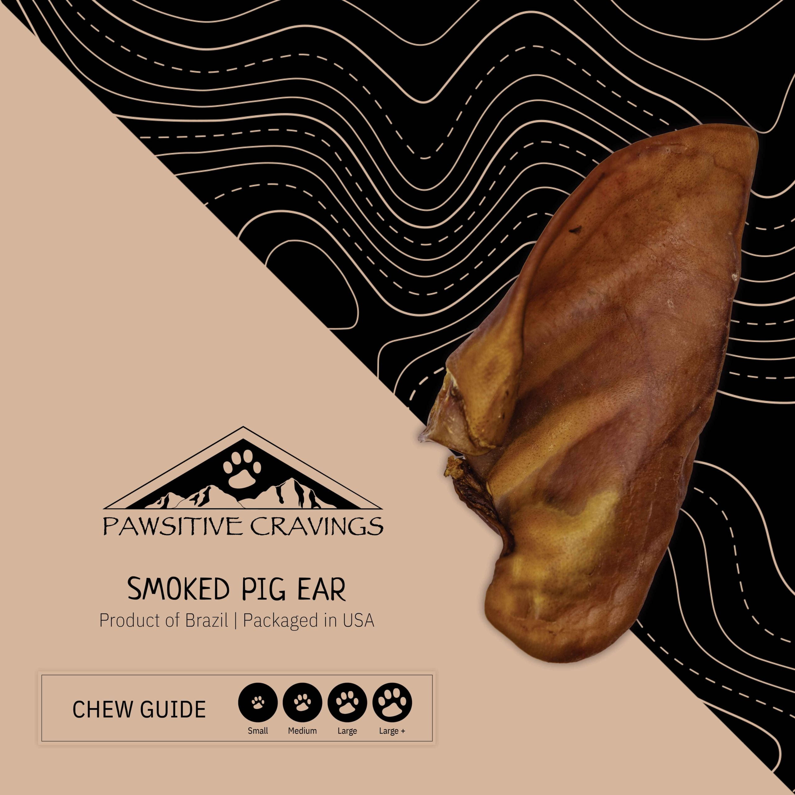 Smoked Pig Ear 1 Smoked Pig Ear Chew Guide | Pawsitive Cravings