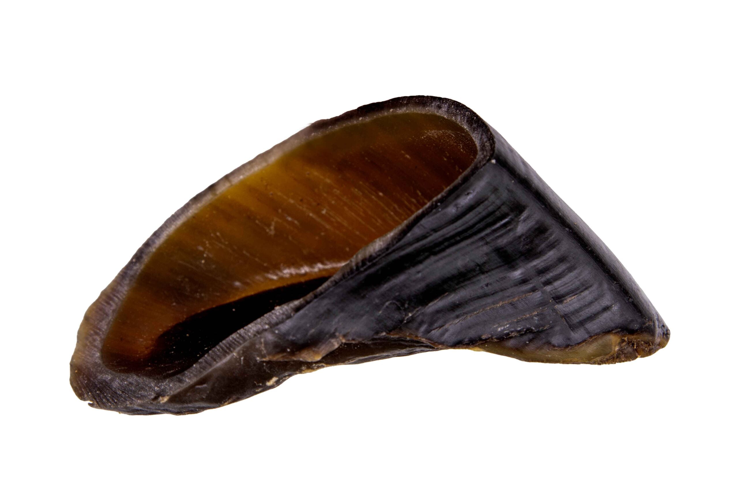Jumbo Cow Hoof 4 Jumbo Cow Hoof | Pawsitive Cravings