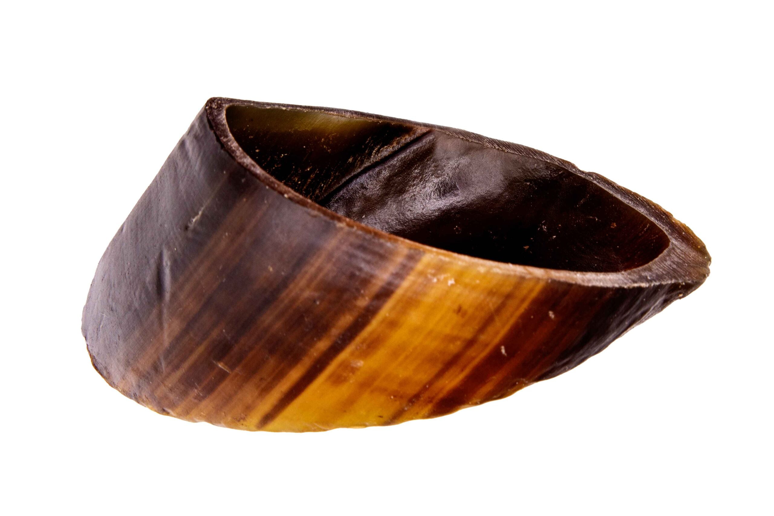 Jumbo Cow Hoof 3 Jumbo Cow Hoof | Pawsitive Cravings