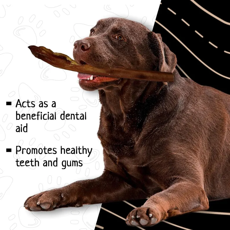 6" Jumbo Bully Stick 6 6" Jumbo Bully Stick - Image 6
