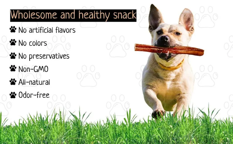 12" Jumbo Bully Stick 10 12" Jumbo Bully Stick - Image 10