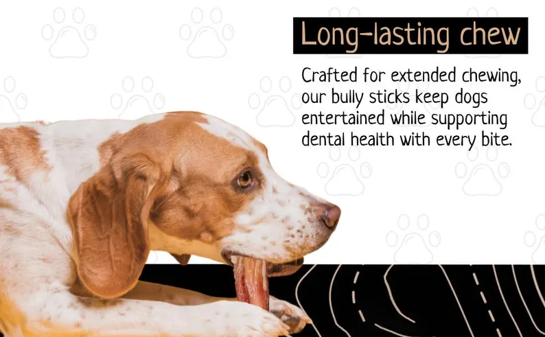 12" Jumbo Bully Stick 9 12" Jumbo Bully Stick - Image 9